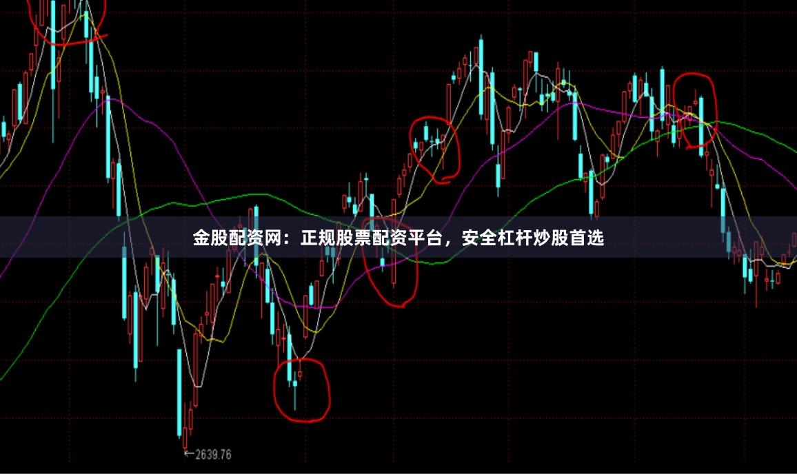 金股配资网：正规股票配资平台，安全杠杆炒股首选