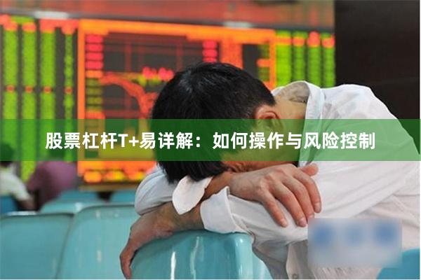 股票杠杆T+易详解：如何操作与风险控制